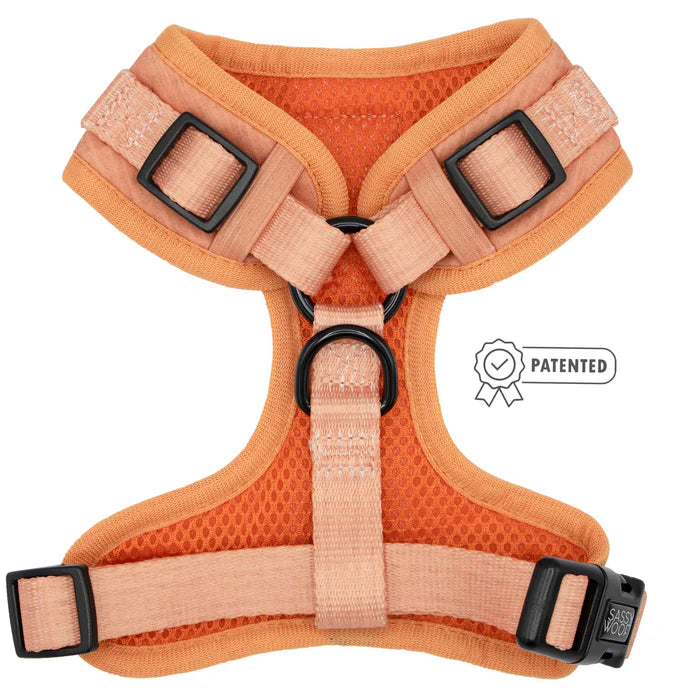 Apple Cider - Modern Dog Adjustable Harness