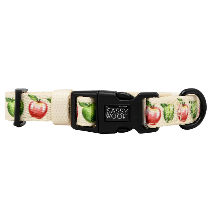 Apple of My Eye - Modern Dog Collar