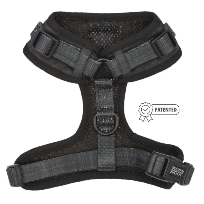 Baby Got Black - Modern Dog Adjustable Harness