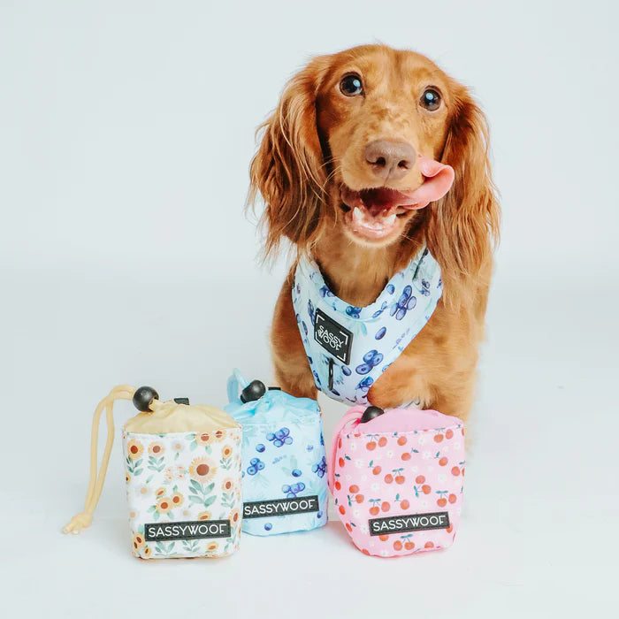 Berry Sassy - Modern Dog Treat Pouch