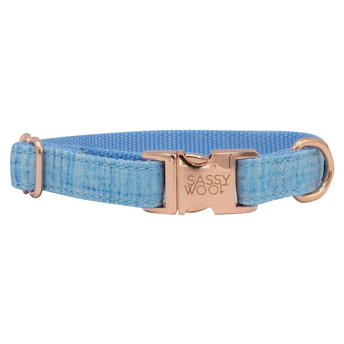 Blumond - Modern Dog Collar