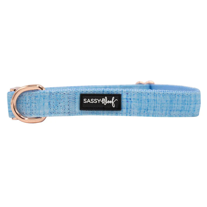 Blumond - Modern Dog Collar