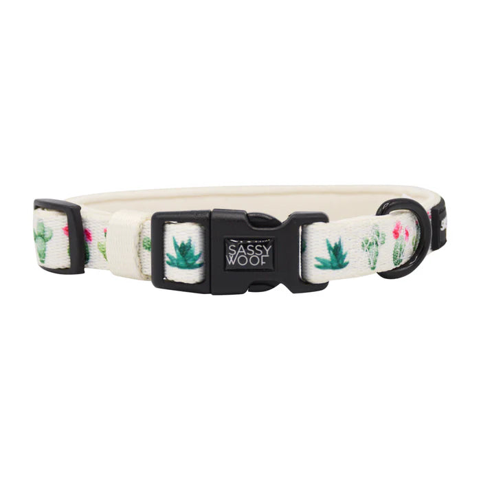 Sass on Point - Modern Dog Collar