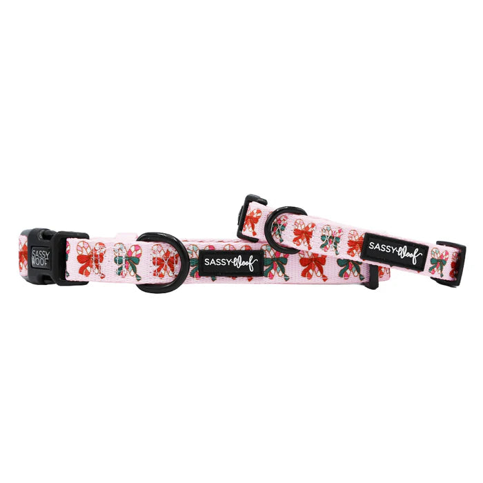 Candy Cane Coquette - Modern Dog Collar