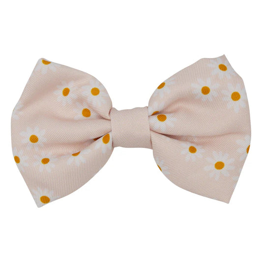 Dainty Daisy - Modern Dog Bowtie