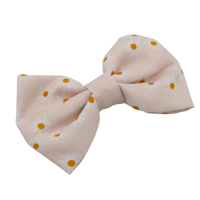 Dainty Daisy - Modern Dog Bowtie