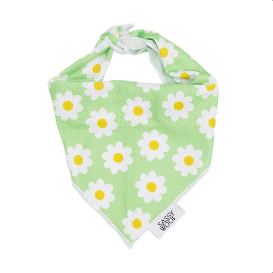 Daisy - Modern Dog Bandana