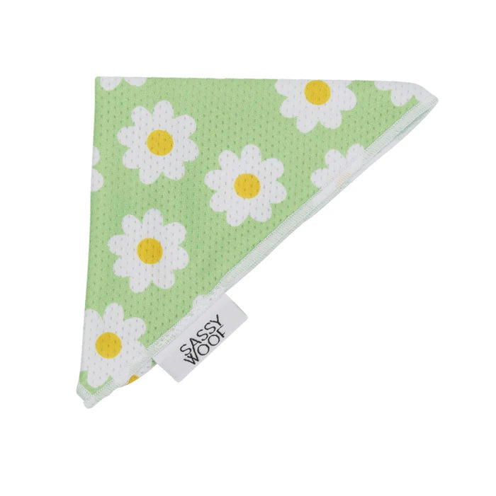 Daisy - Modern Dog Bandana