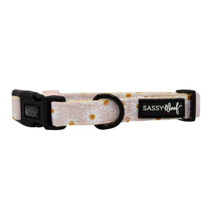 Dainty Daisy - Modern Dog Collar