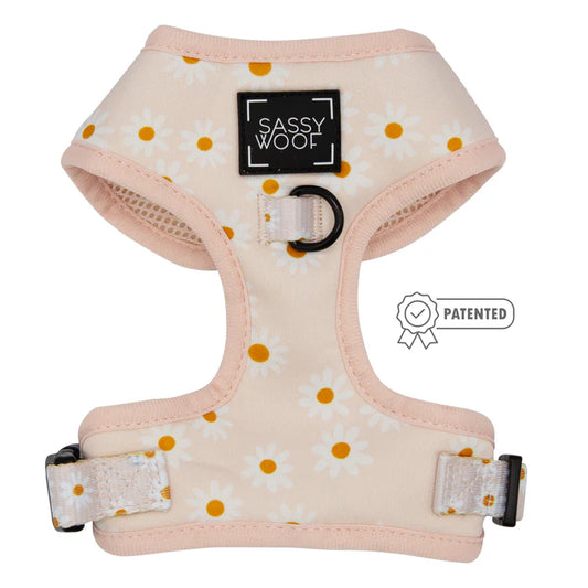 Dainty Daisy - Modern Dog Adjustable Harness