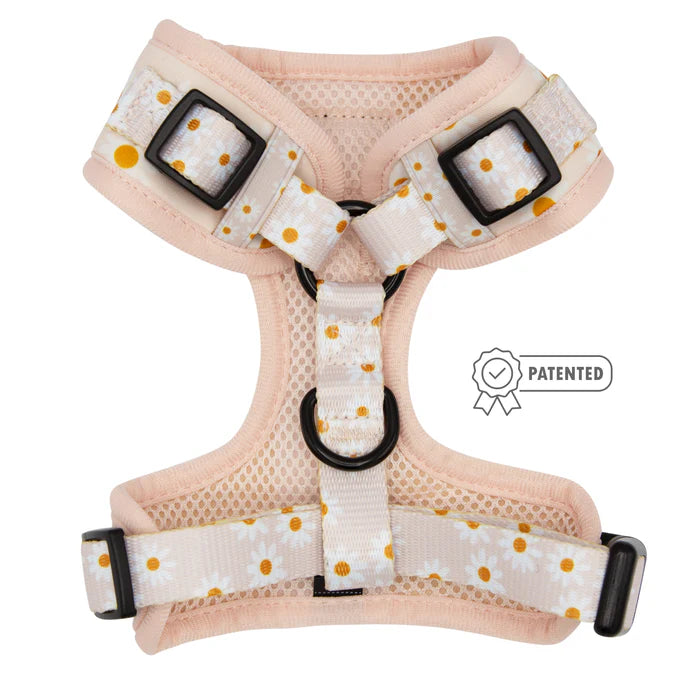 Dainty Daisy - Modern Dog Adjustable Harness