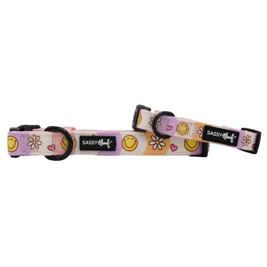 Daisy Me Rolling - Modern Dog Collar