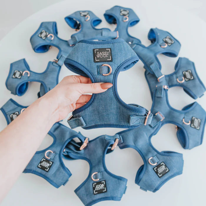 Denim - Modern Dog Adjustable Harness