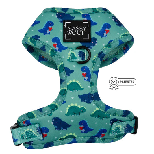 Dino Darling - Modern Dog Adjustable Harness