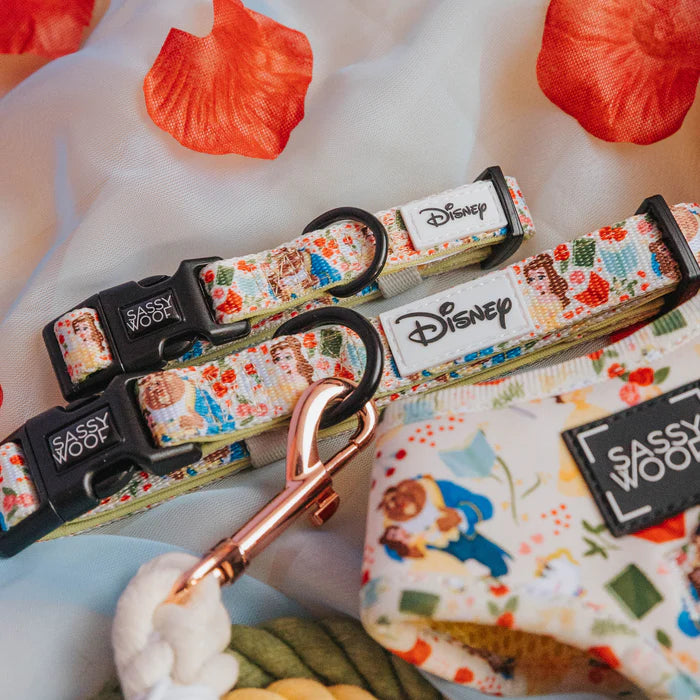 Disney's Belle - Modern Dog Collar