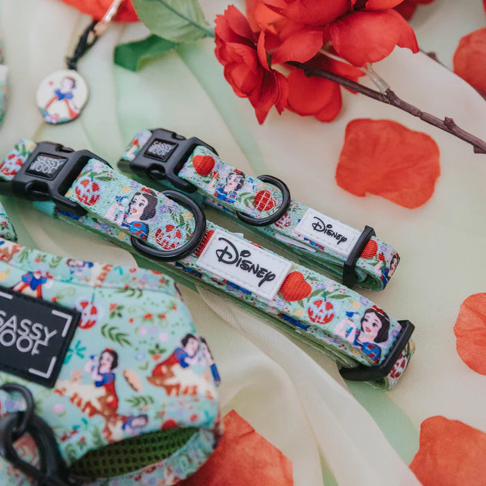 Disney's Snow White - Modern Dog Collar