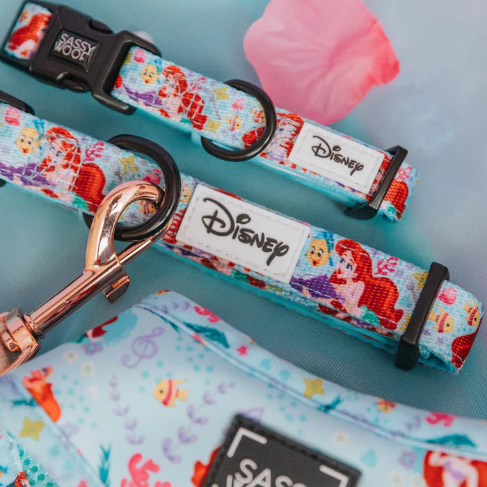 Disney's Ariel - Modern Dog Collar