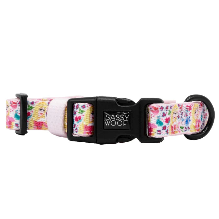 Disney's Aurora - Modern Dog Collar