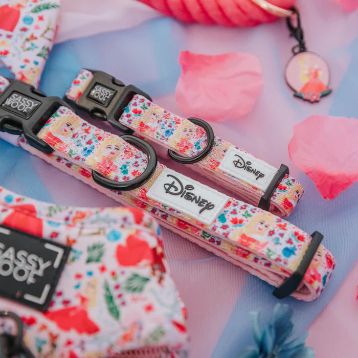 Disney's Aurora - Modern Dog Collar