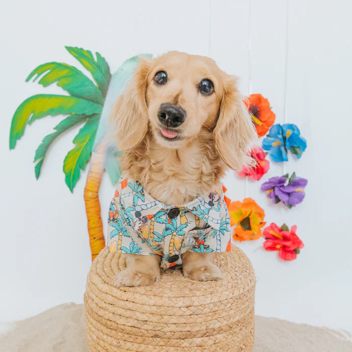 Mickey Mouse - Dog Hawaiian Shirt