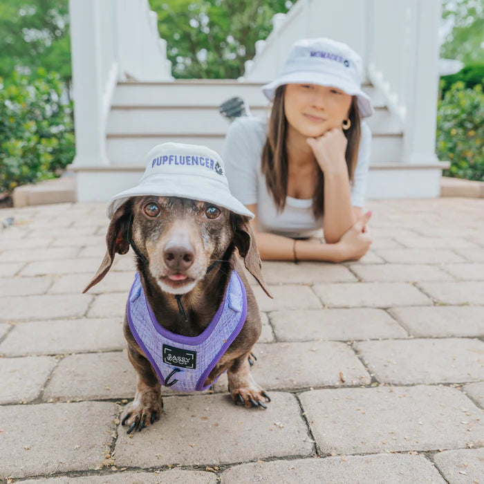 Pupfluencer - Modern Dog Bucket Hat