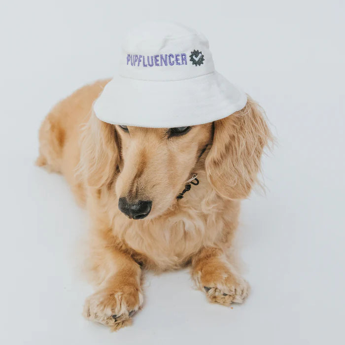 Pupfluencer - Modern Dog Bucket Hat