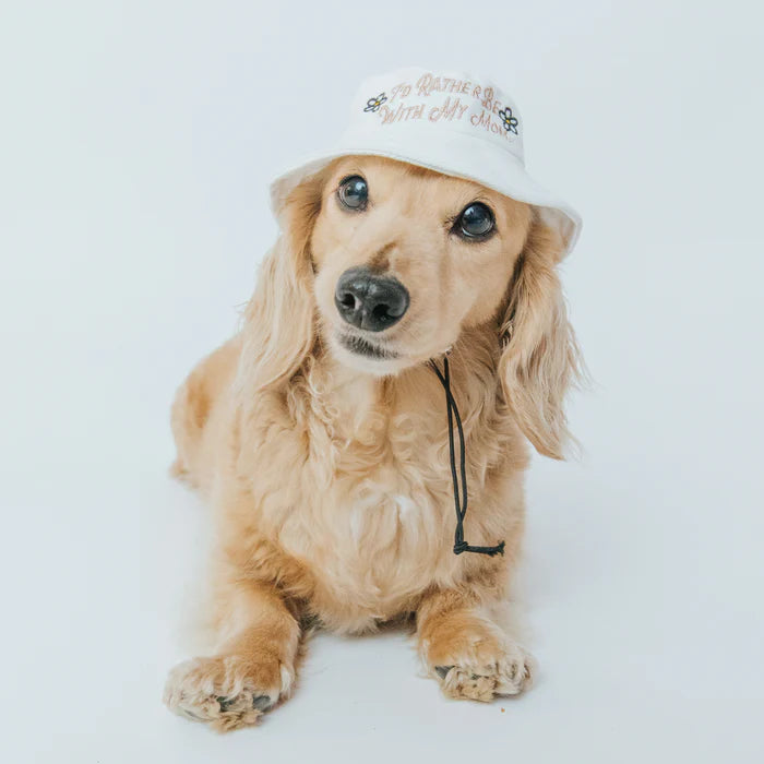 I'd Rather Be With My Mom - Modern Dog Bucket Hat