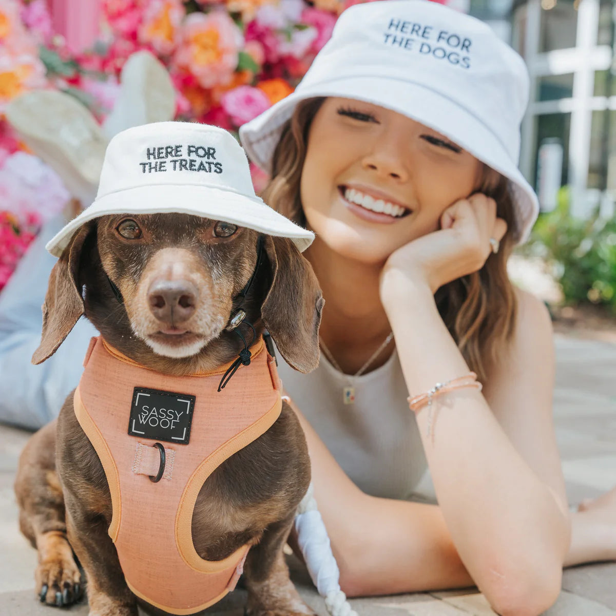 Here For The Treats - Modern Dog Bucket Hat