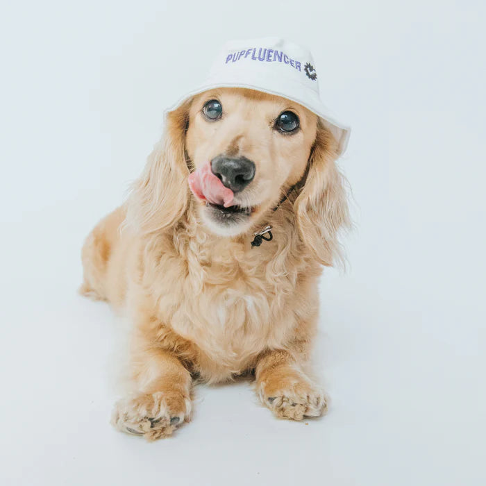 Pupfluencer - Modern Dog Bucket Hat