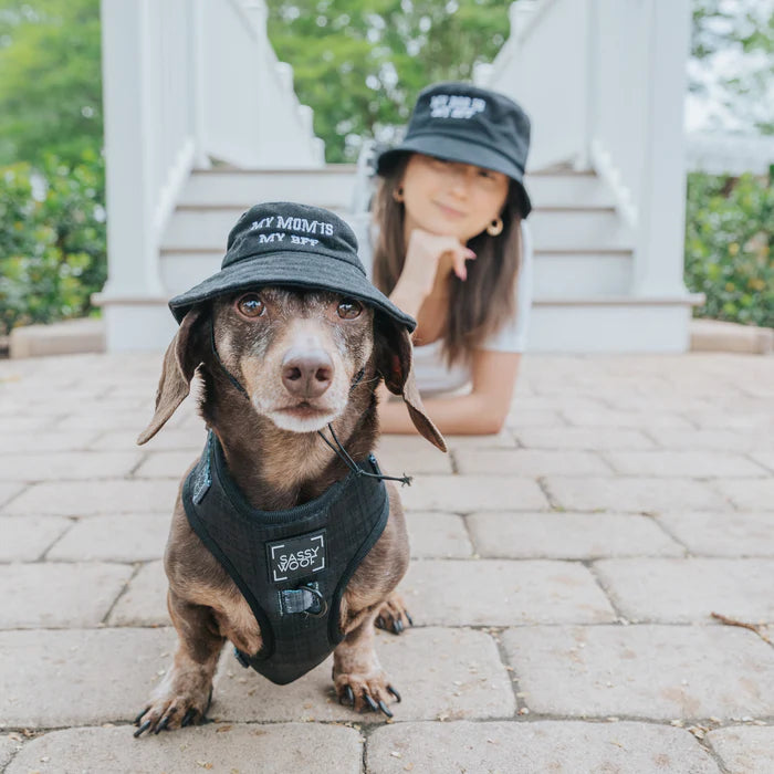 My Mom Is My BFF - Modern Dog Bucket Hat