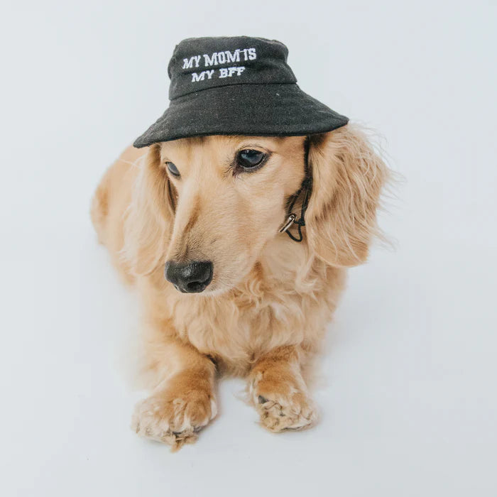 My Mom Is My BFF - Modern Dog Bucket Hat