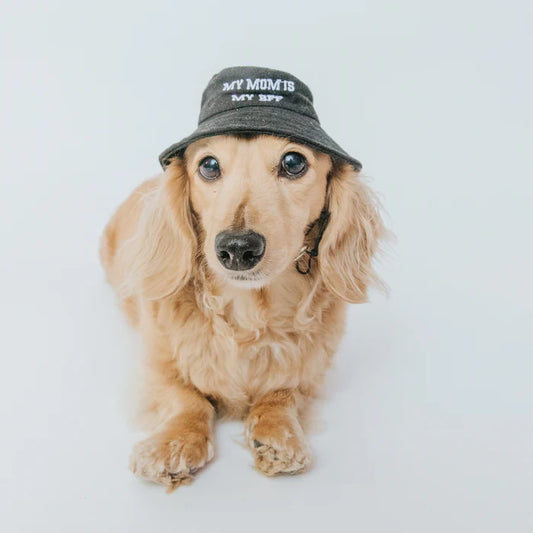 My Mom Is My BFF - Modern Dog Bucket Hat