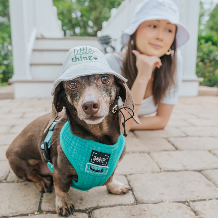 Little Thing - Modern Dog Bucket Hat