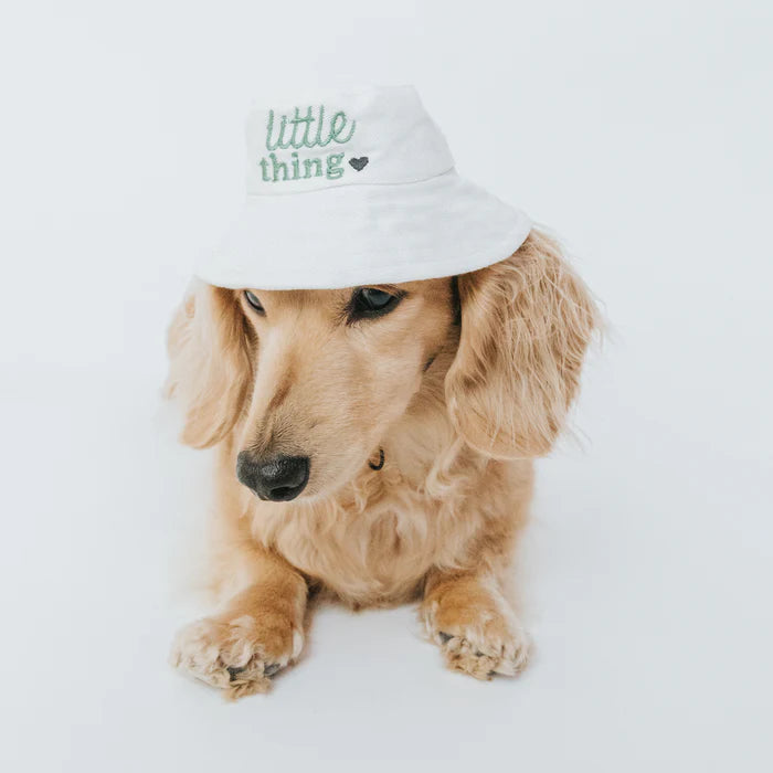 Little Thing - Modern Dog Bucket Hat