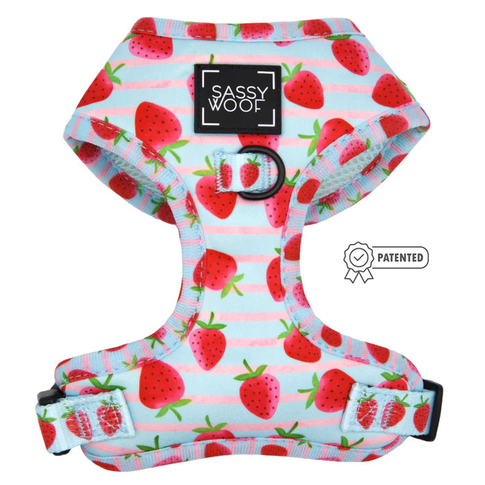 I Woof You Berry Much - Modern Dog Adjustable Harness