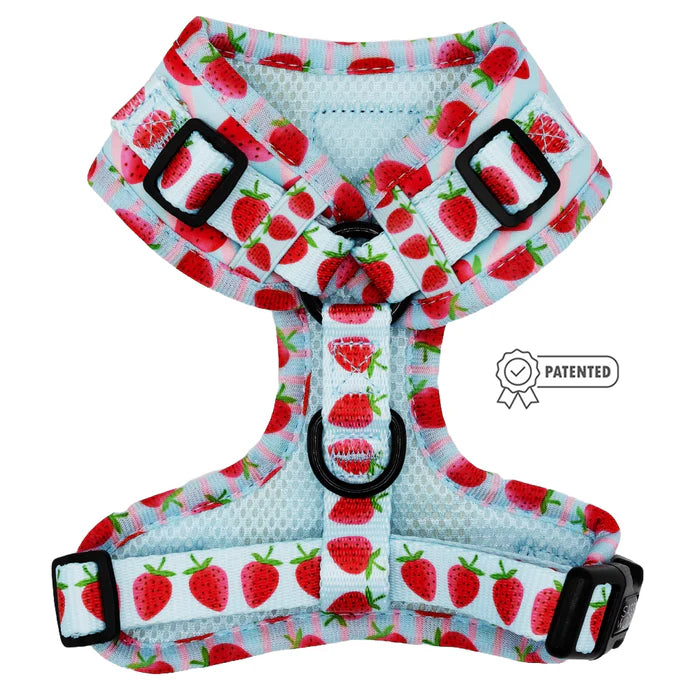 I Woof You Berry Much - Modern Dog Adjustable Harness