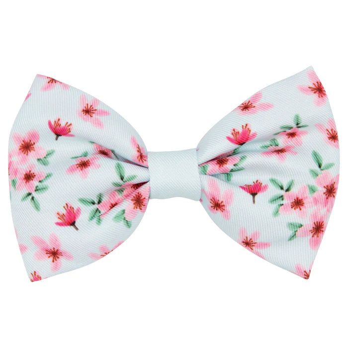 Sakura - Modern Dog Bowtie