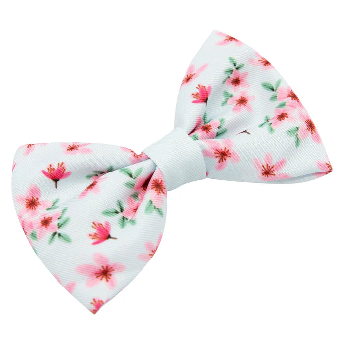 Sakura - Modern Dog Bowtie