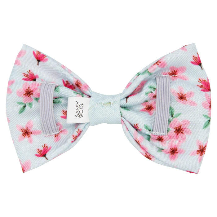 Sakura - Modern Dog Bowtie