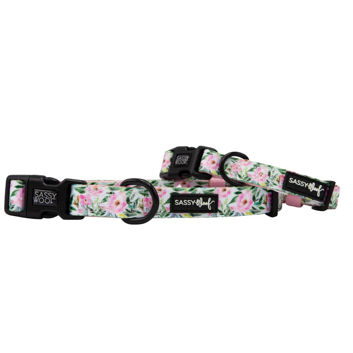 Magnolia - Modern Dog Collar