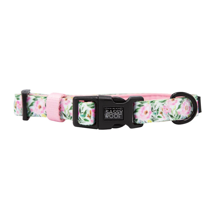 Magnolia - Modern Dog Collar