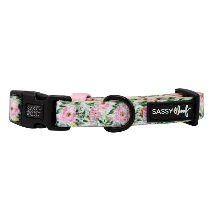 Magnolia - Modern Dog Collar