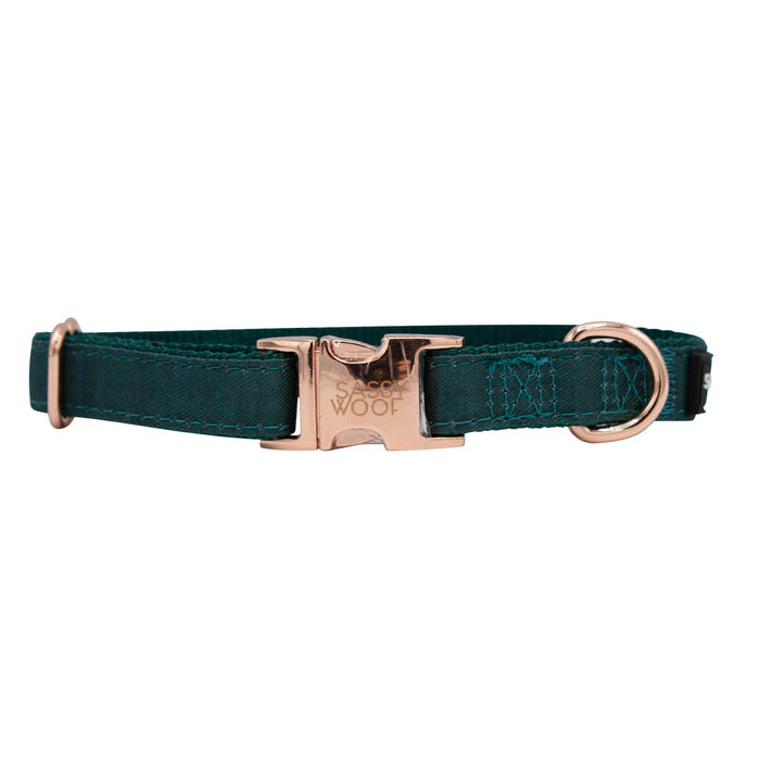 Forest - Modern Dog Collar