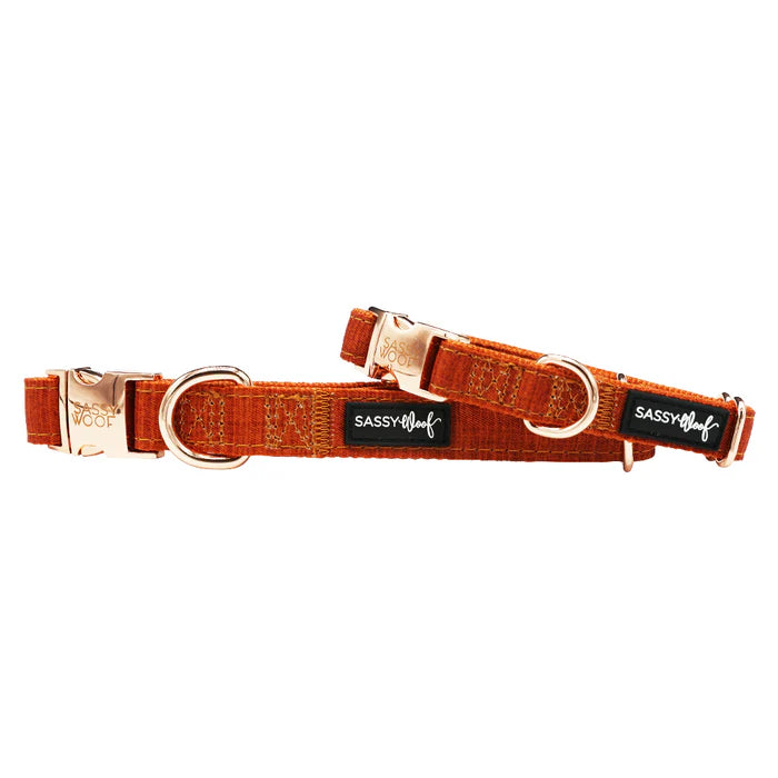 Foxy - Modern Dog Collar