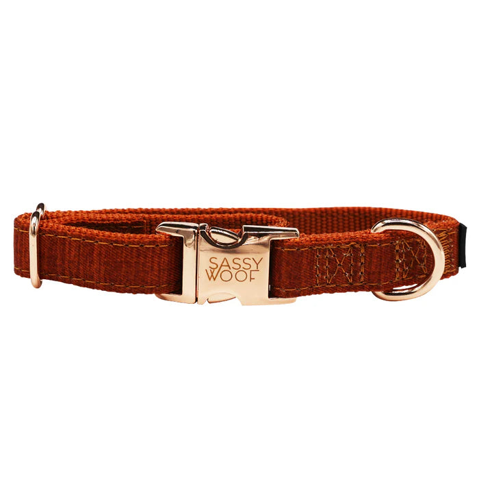 Foxy - Modern Dog Collar