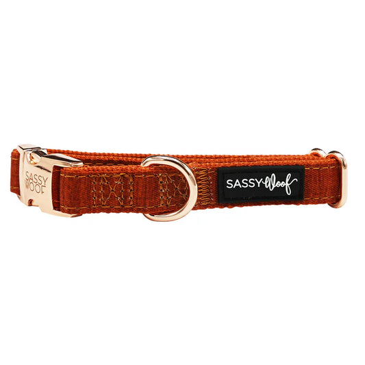 Foxy - Modern Dog Collar