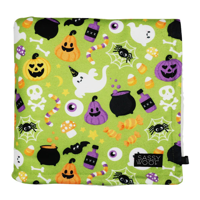 Haunt Mess - Modern Dog Blanket