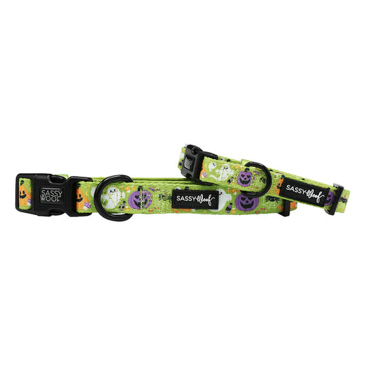 Haunt Mess - Modern Dog Collar