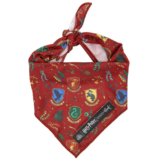 Harry Potter™ - Modern Dog Bandana