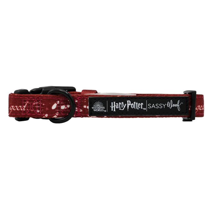 Harry Potter™ Marauder's Map™ - Modern Dog Collar